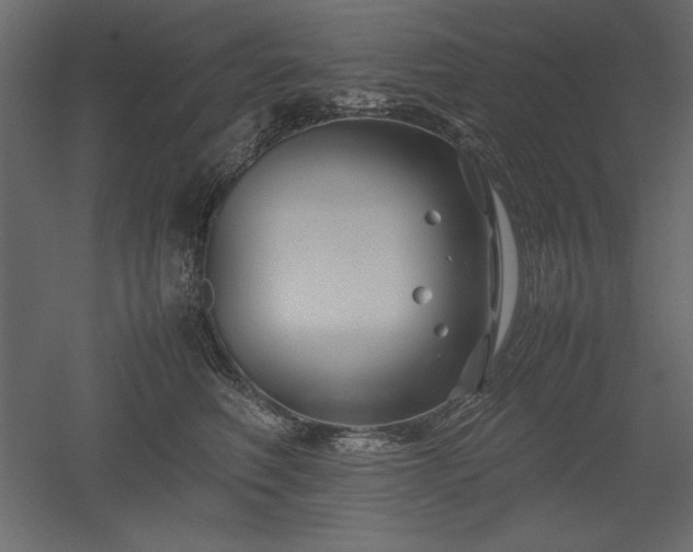X0000051900614200507011509