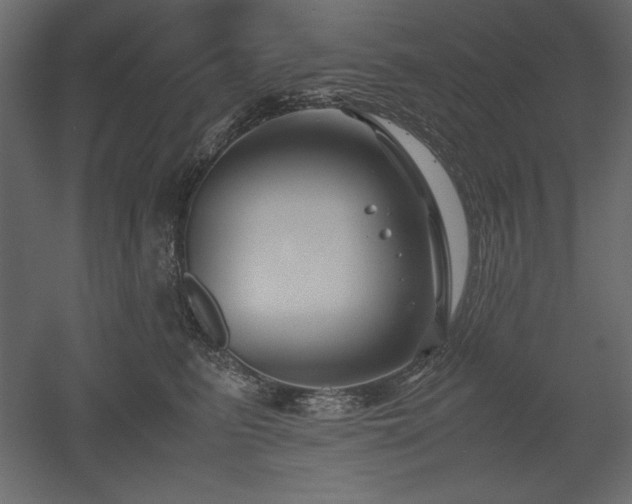 X0000051900615200507011509