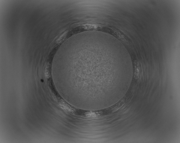 X0000051900616200507011509