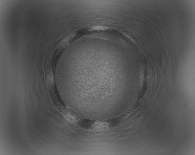 X0000051900617200507011509