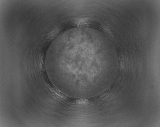 X0000051900618200507011509