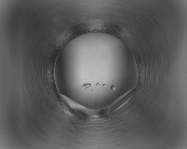 X0000051900619200507011509