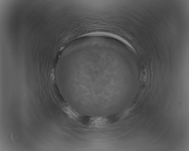 X0000051900621200507011509