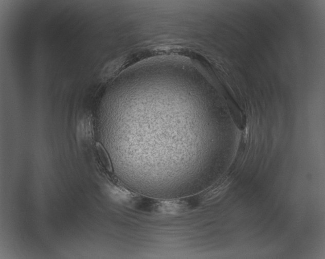 X0000051900623200507011509