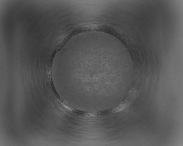 X0000051900624200507011509