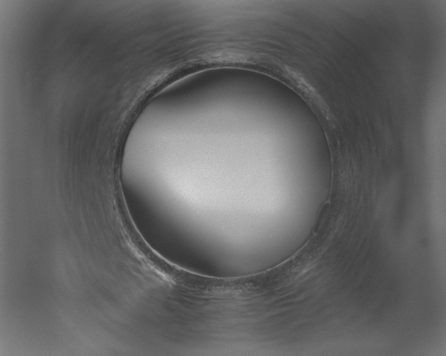 X0000051900625200507011508