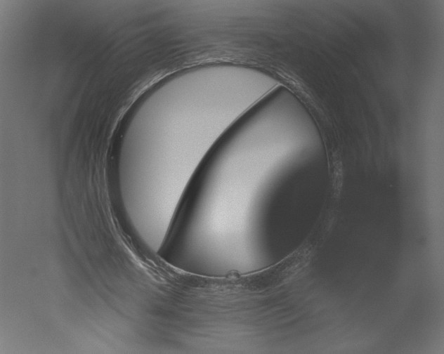 X0000051900626200507011508