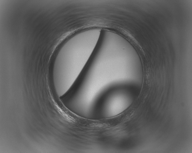 X0000051900629200507011508