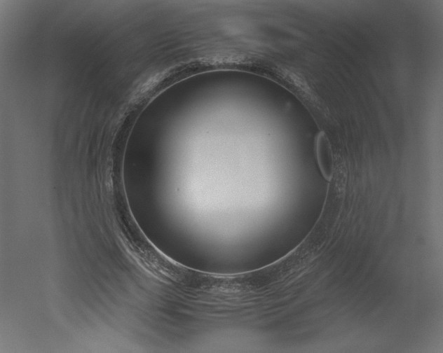 X0000051900631200507011508