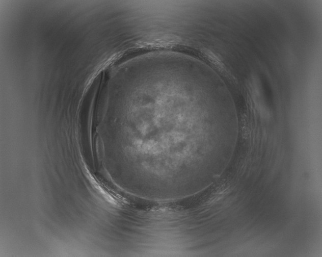X0000051900634200507011508