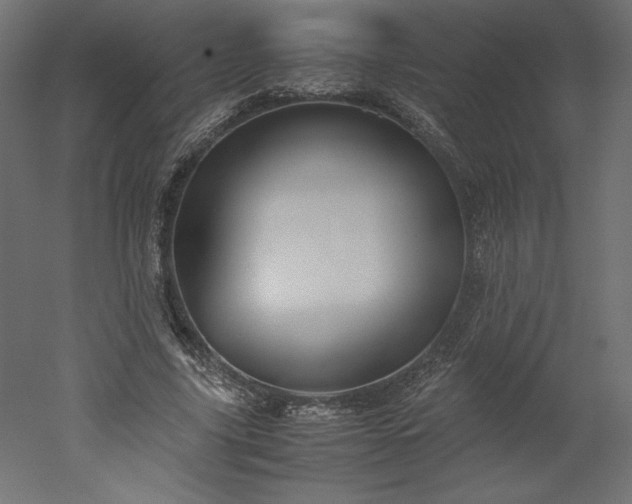 X0000051900635200507011508