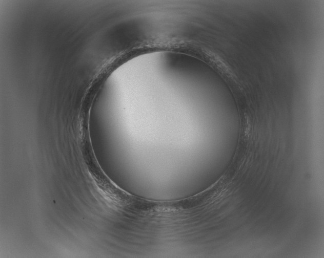 X0000051900636200507011508