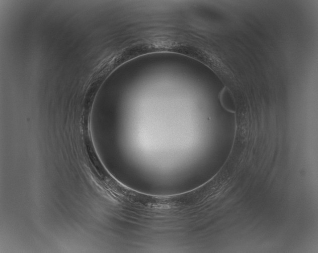 X0000051900639200507011508