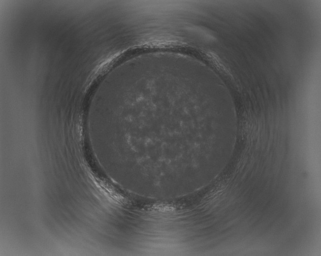 X0000051900640200507011508