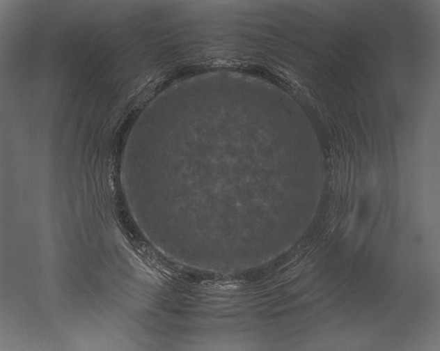 X0000051900643200507011508