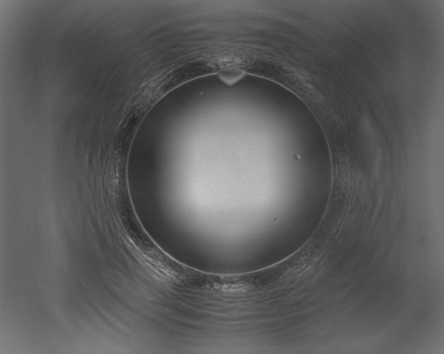 X0000051900645200507011508