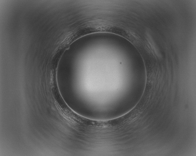 X0000051900646200507011508