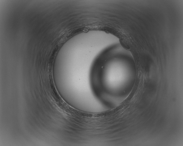 X0000051900647200507011508