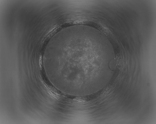 X0000051900648200507011508