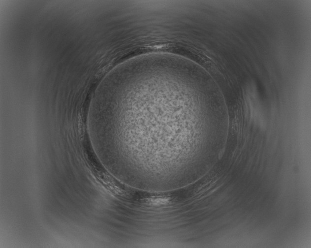 X0000051900651200507011508