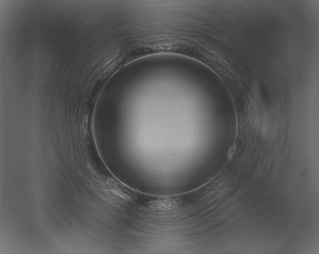 X0000051900652200507011508