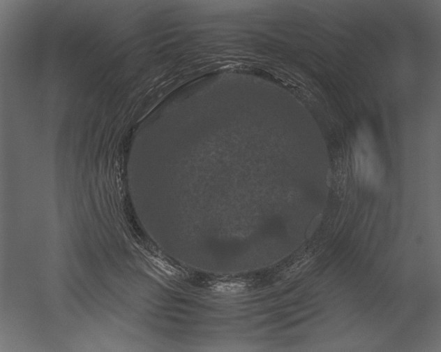 X0000051900653200507011508
