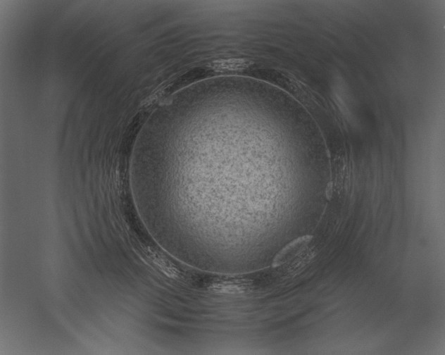 X0000051900655200507011508