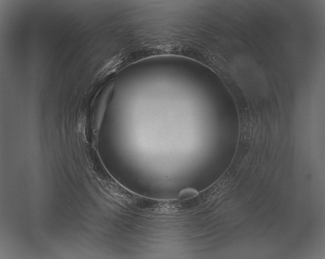 X0000051900656200507011508
