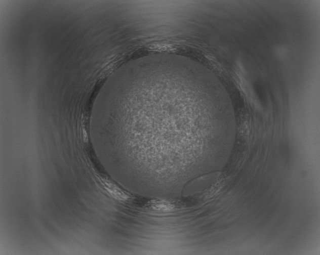X0000051900658200507011508