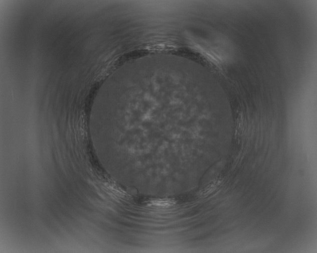 X0000051900659200507011508