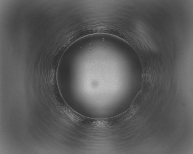 X0000051900660200507011509