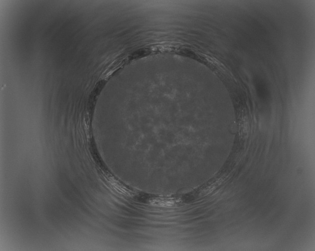 X0000051900661200507011509