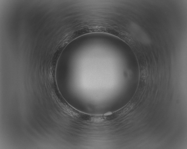 X0000051900662200507011509