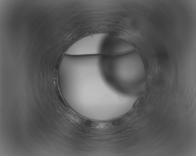 X0000051900663200507011509