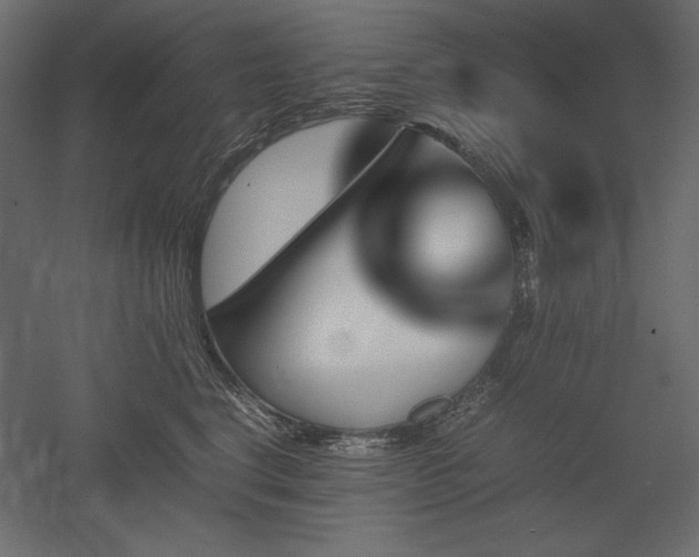 X0000051900664200507011509