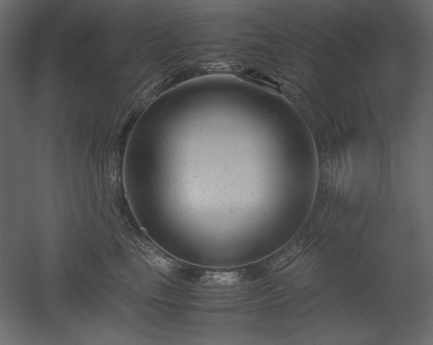 X0000051900665200507011509