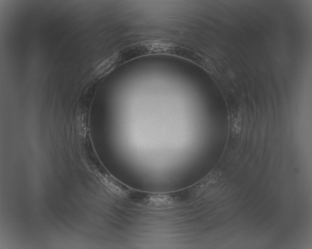 X0000051900666200507011509