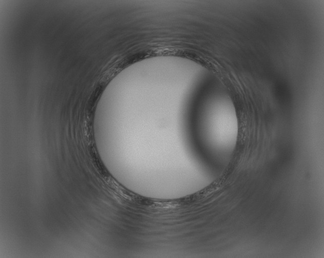 X0000051900667200507011509