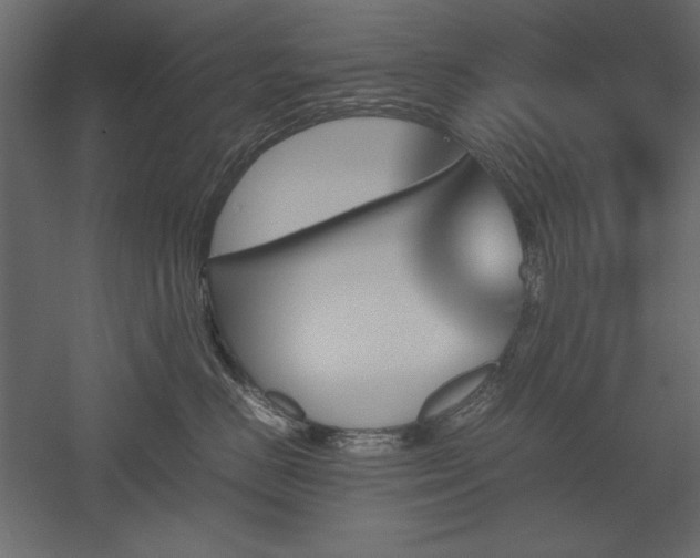 X0000051900670200507011509