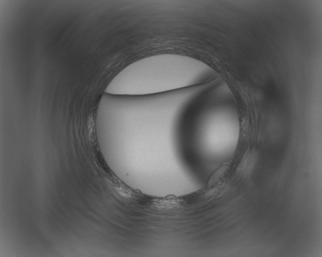 X0000051900671200507011509