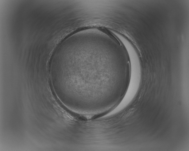 X0000051900673200507011508