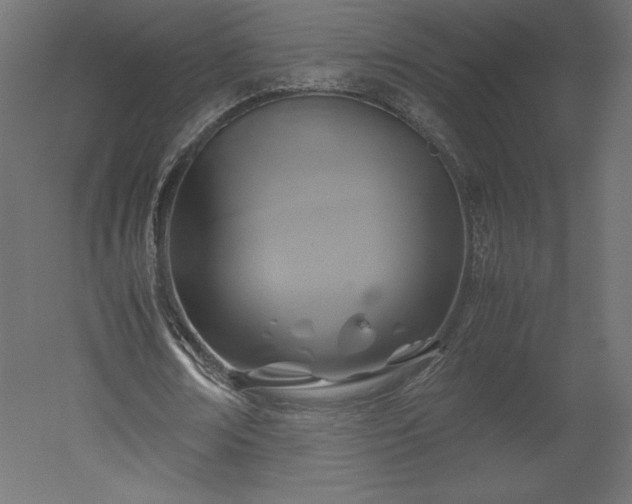 X0000051900674200507011508