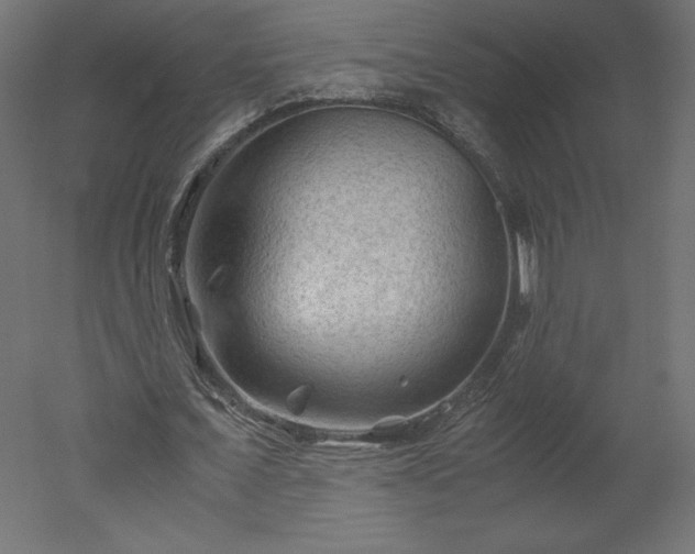X0000051900675200507011508