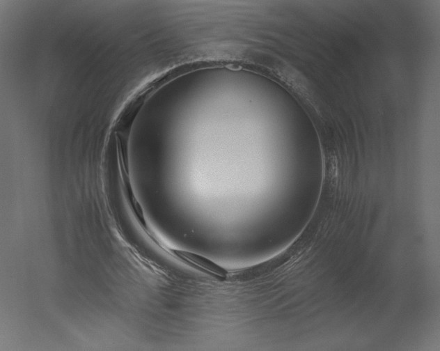 X0000051900676200507011508