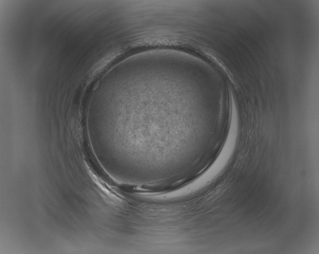 X0000051900677200507011508