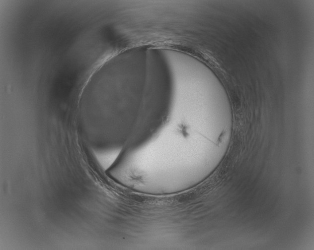 X0000051900679200507011508