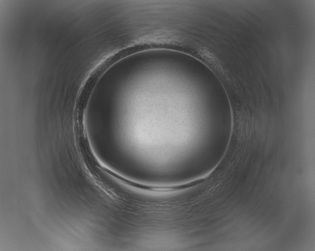 X0000051900680200507011508