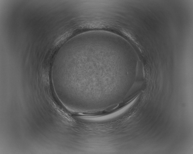 X0000051900681200507011508