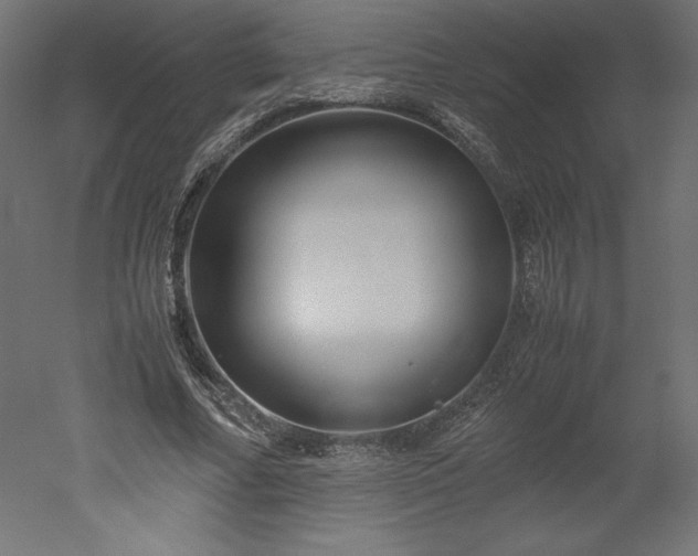 X0000051900682200507011508