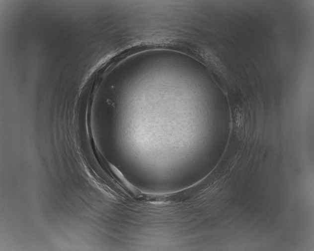 X0000051900684200507011508